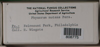 Image Associated With the Occurence